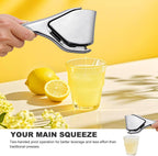 Solara Lemon Squeezer (Stainless Steel)